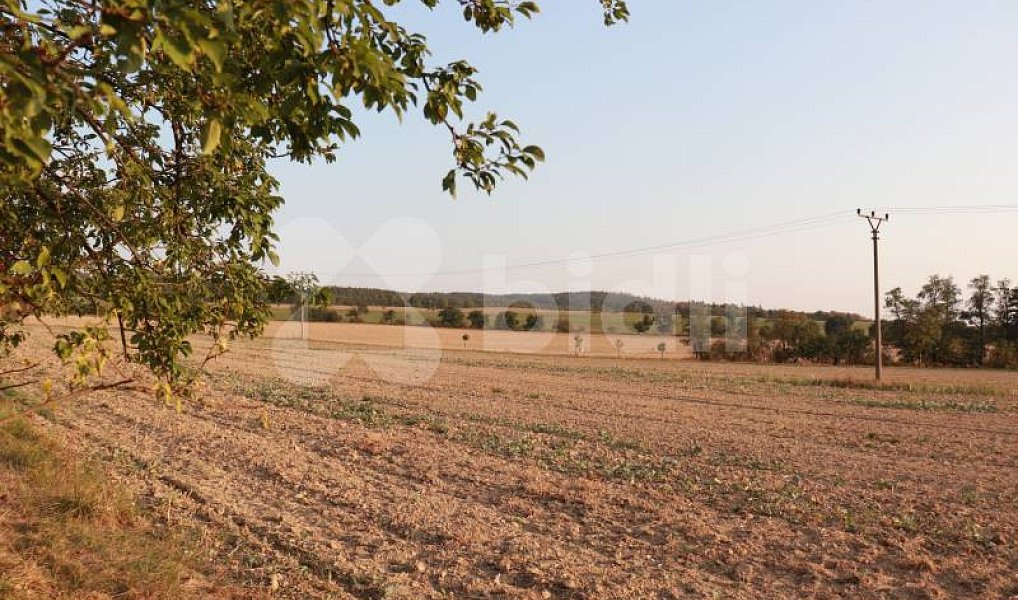 Prodej pole 3 030 m², Bělkovice-Lašťany – náhled fotky 2