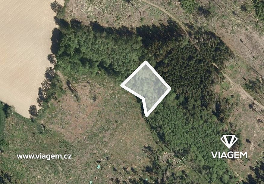 Prodej lesa 669 m²