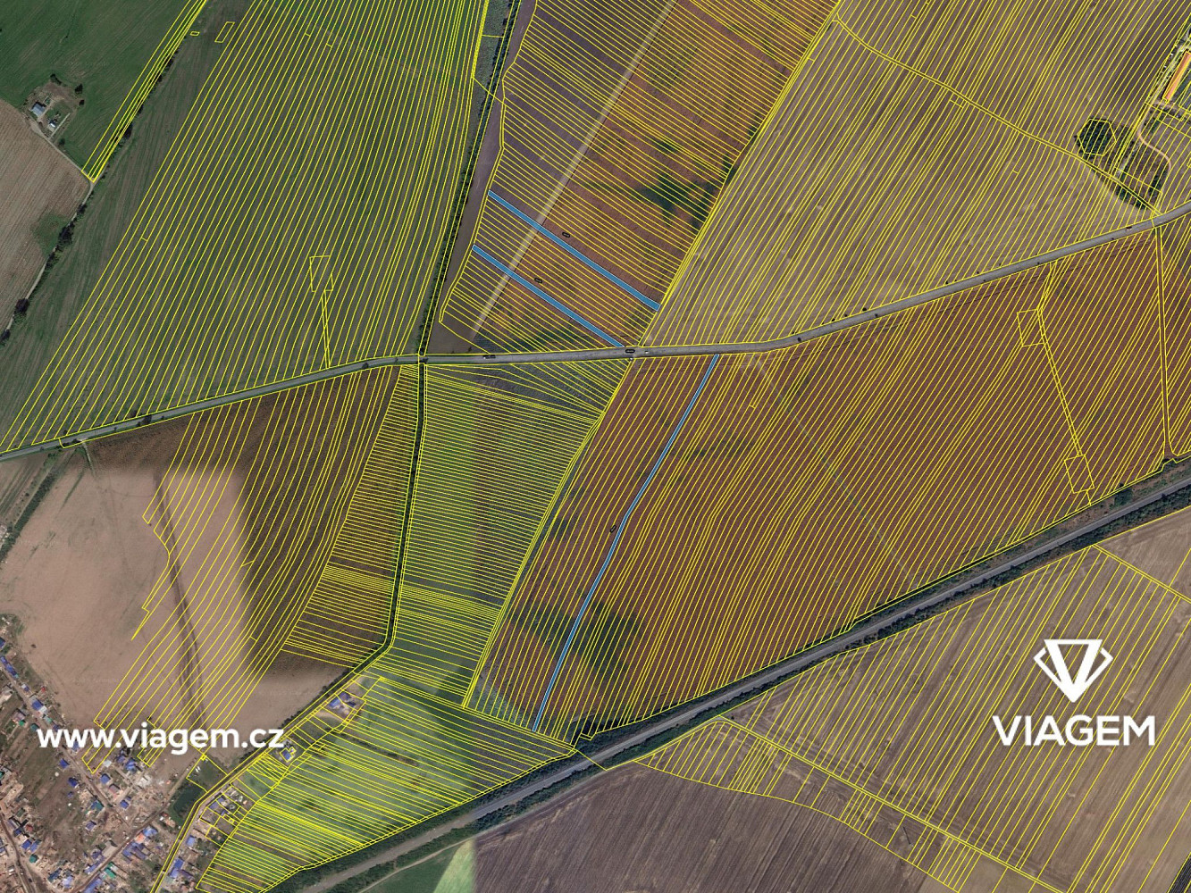Prodej pole 1 175 m² – fotografie 4