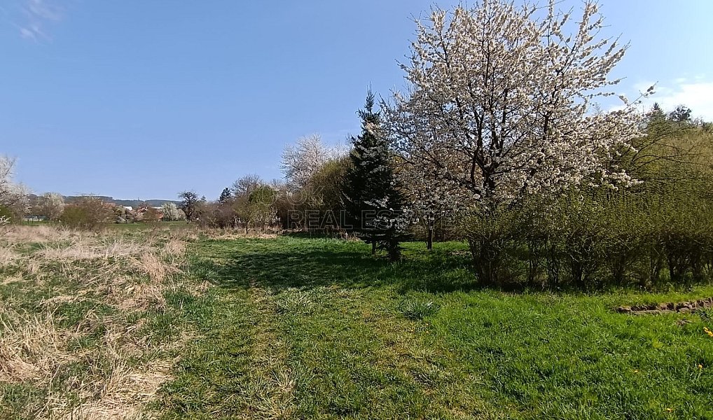 Prodej zahrady 1 872 m², Soběchleby – náhled fotky 14