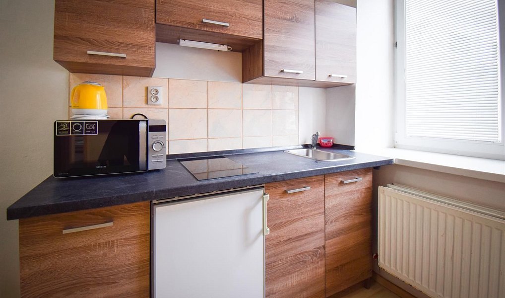 Pronájem bytu 2+1 45 m², Brno – náhled fotky 3