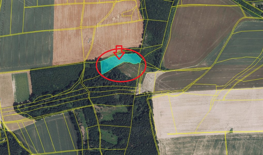 Prodej lesa 5 791 m², Zádolí – náhled fotky 2