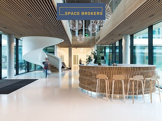 Pronájem kanceláře 650 m² – fotografie 3