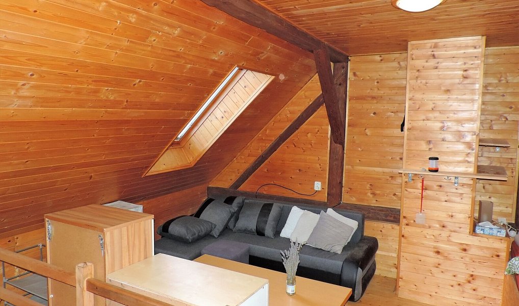 Prodej domu 250 m² s pozemkem 1 290 m², Peč – náhled fotky 41