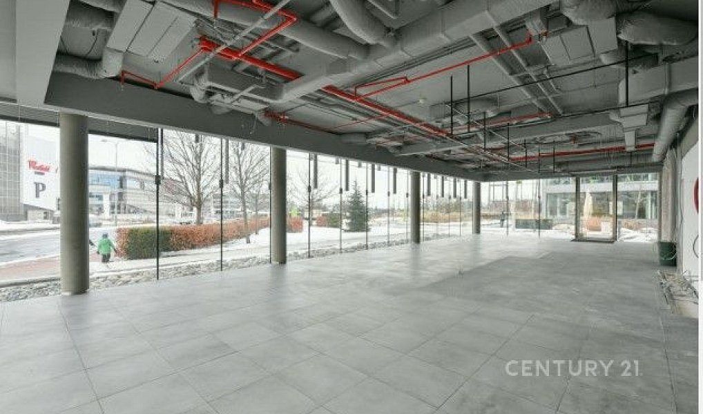 Pronájem kanceláře 1 047 m², Praha – náhled fotky 7
