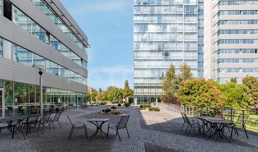 Pronájem obchodních prostor 291 m², Praha – náhled fotky 19