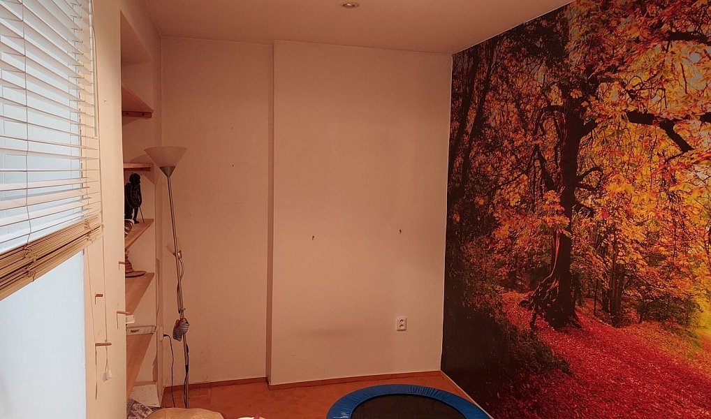 Prodej bytu 1+1 19 m², Prostějov – náhled fotky 3