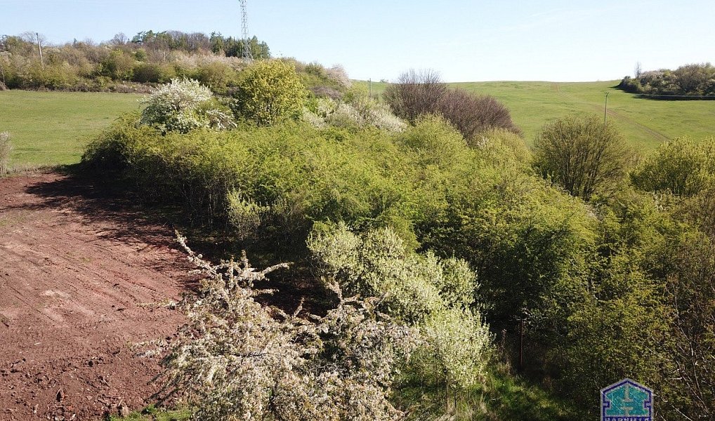 Prodej stavebního pozemku 2 955 m², Valeč – náhled fotky 15