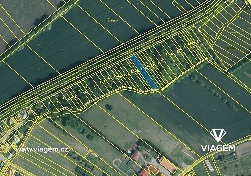 Prodej lesa 462 m² – fotografie 3