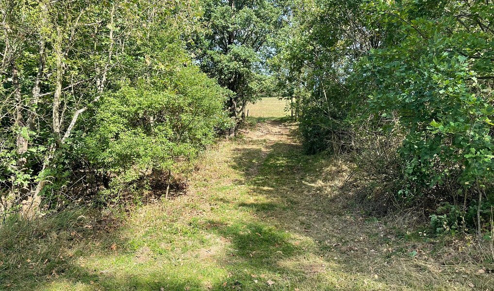 Prodej pozemku 6 229 m², Bojanovice – náhled fotky 17