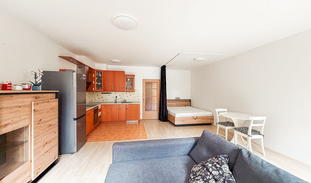 Pronájem bytu 1+kk 48 m², Praha – náhled fotky 4
