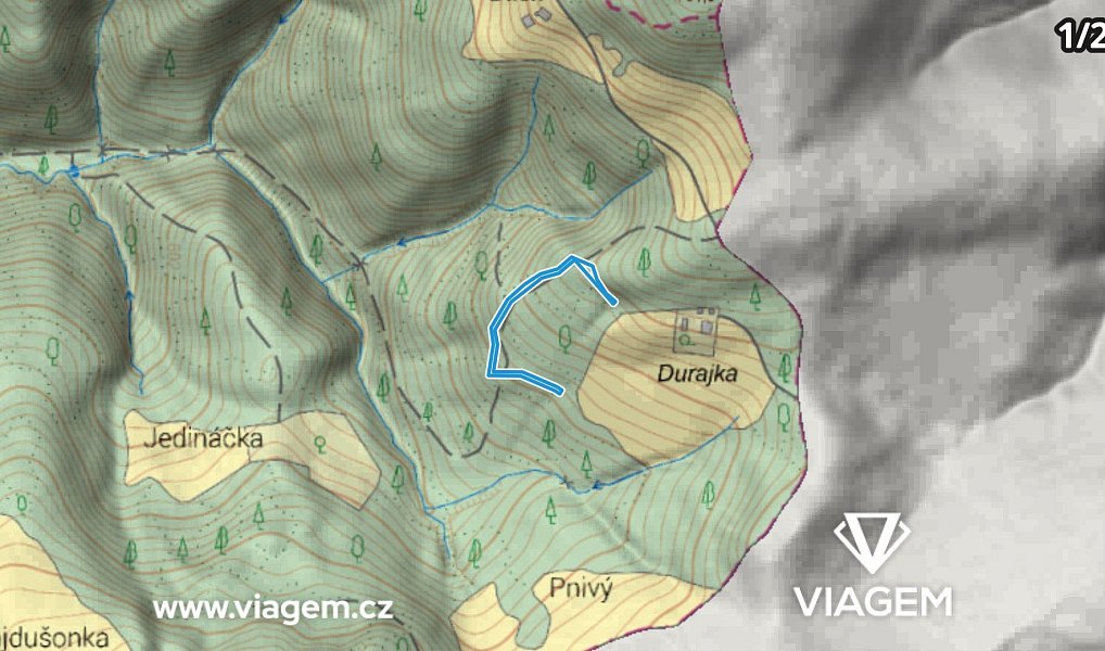 Prodej lesa 4 836 m², Hrčava – náhled fotky 3