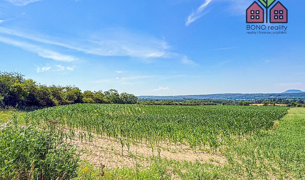 Prodej pole 41 291 m², Štětí – náhled fotky 6
