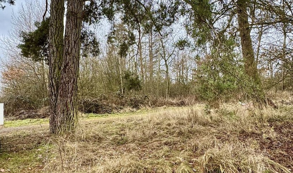 Prodej stavebního pozemku 867 m², Kbelany – náhled fotky 3