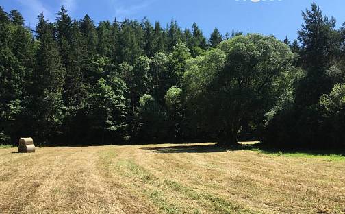 Prodej louky 6 060 m², Družec, okres Kladno