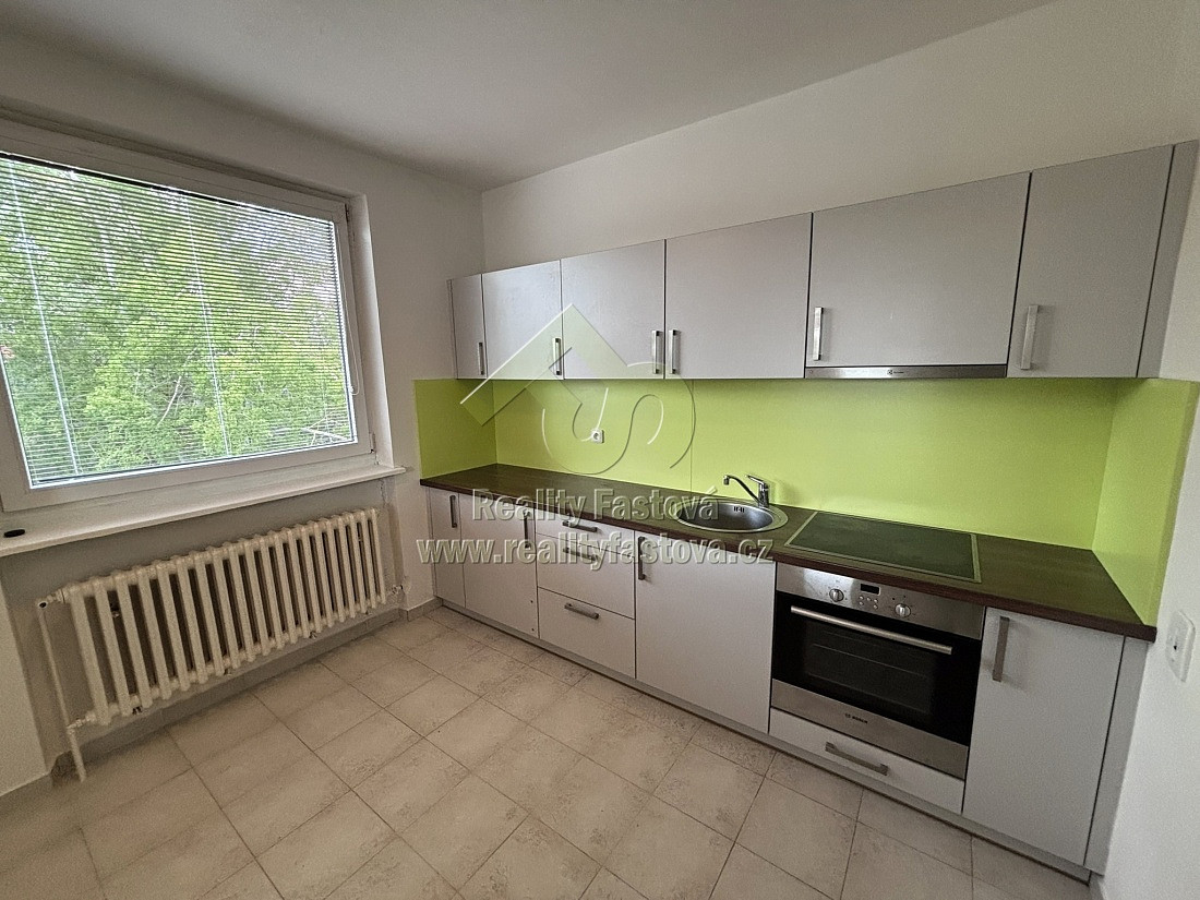 Pronájem bytu 1+1 44 m² - Widok 3
