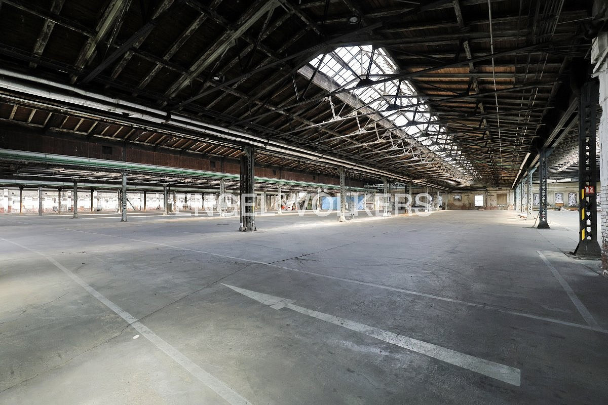 Pronájem skladovacích prostor 14 528 m² – fotografie 4