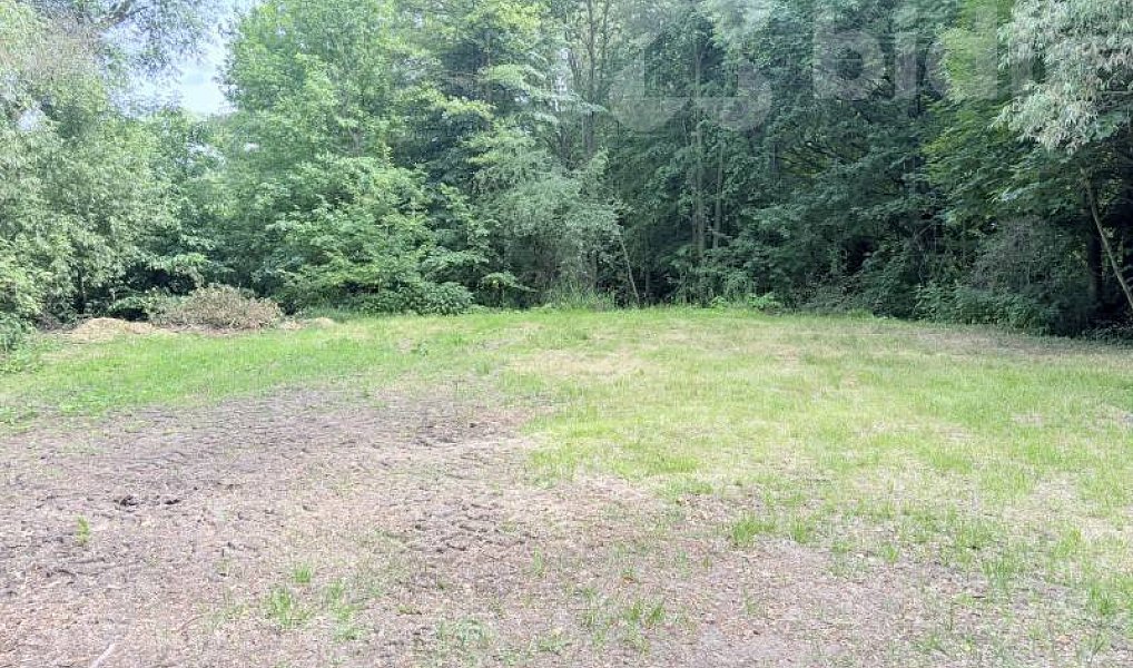 Pronájem louky 3 000 m², Pardubice – náhled fotky 2
