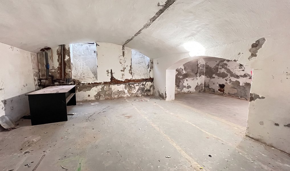Prodej komerčního objektu (jiného typu) 235 m², Praha – náhled fotky 15