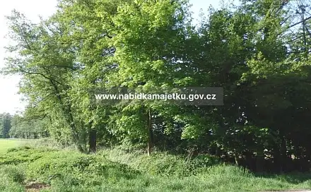 Prodej pozemku 2 210 m², Ratibořské Hory, okres Tábor