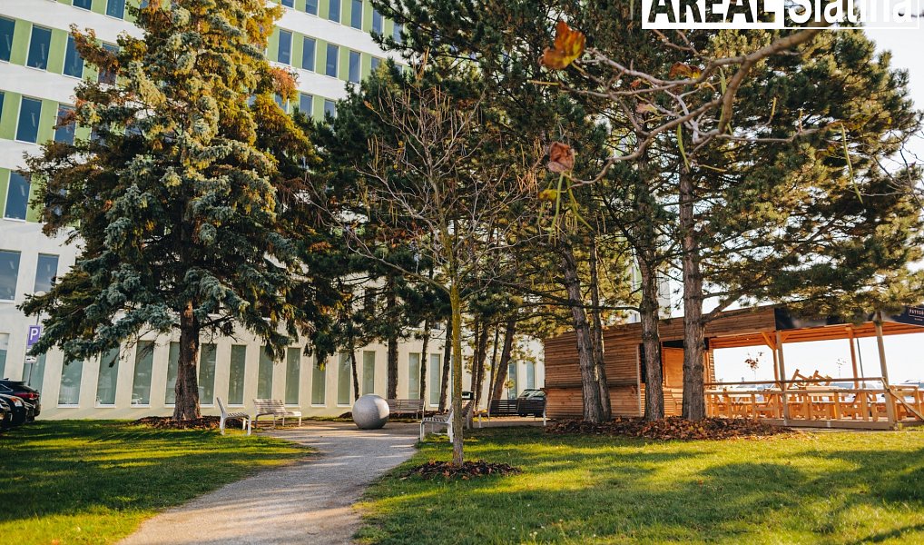 Pronájem kanceláře 18 m², Brno – náhled fotky 14