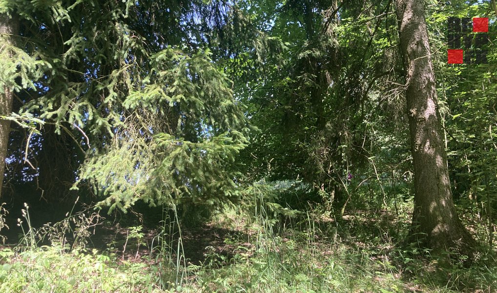 Prodej pole 3 130 m², Lomnice nad Popelkou – náhled fotky 7