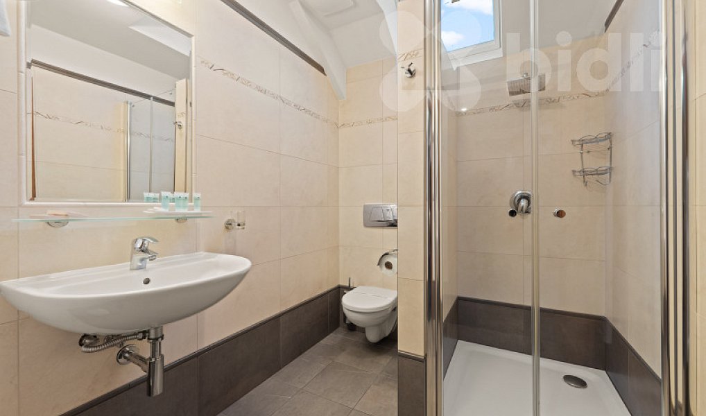 Prodej ubytovacího objektu 1 300 m², Lednice – náhled fotky 8