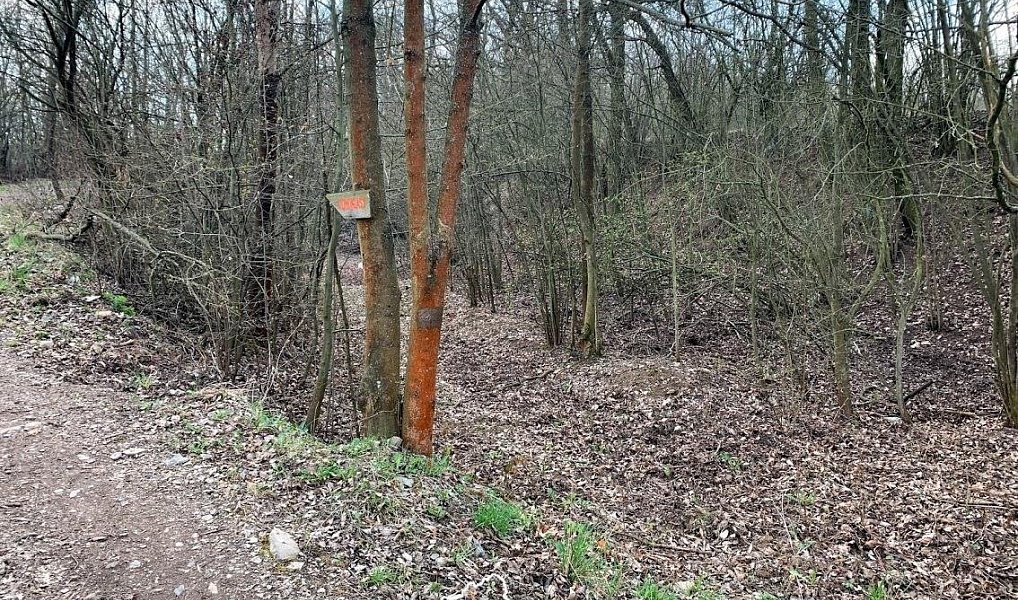 Prodej pozemku 1 151 m², Vonoklasy – náhled fotky 5