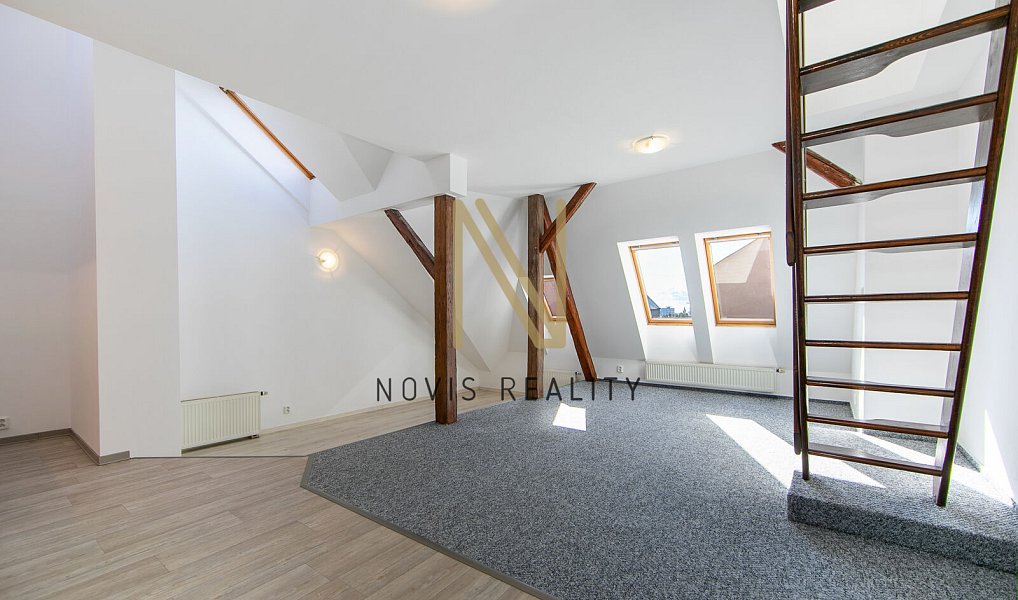 Pronájem bytu 2+kk 74 m², Plzeň – náhled fotky 3
