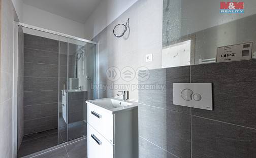 Prodej bytu 5+kk 175 m², Břehnická, Cheb
