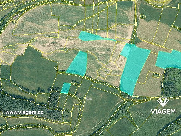 Prodej pole 2 575 m² – fotografie 3
