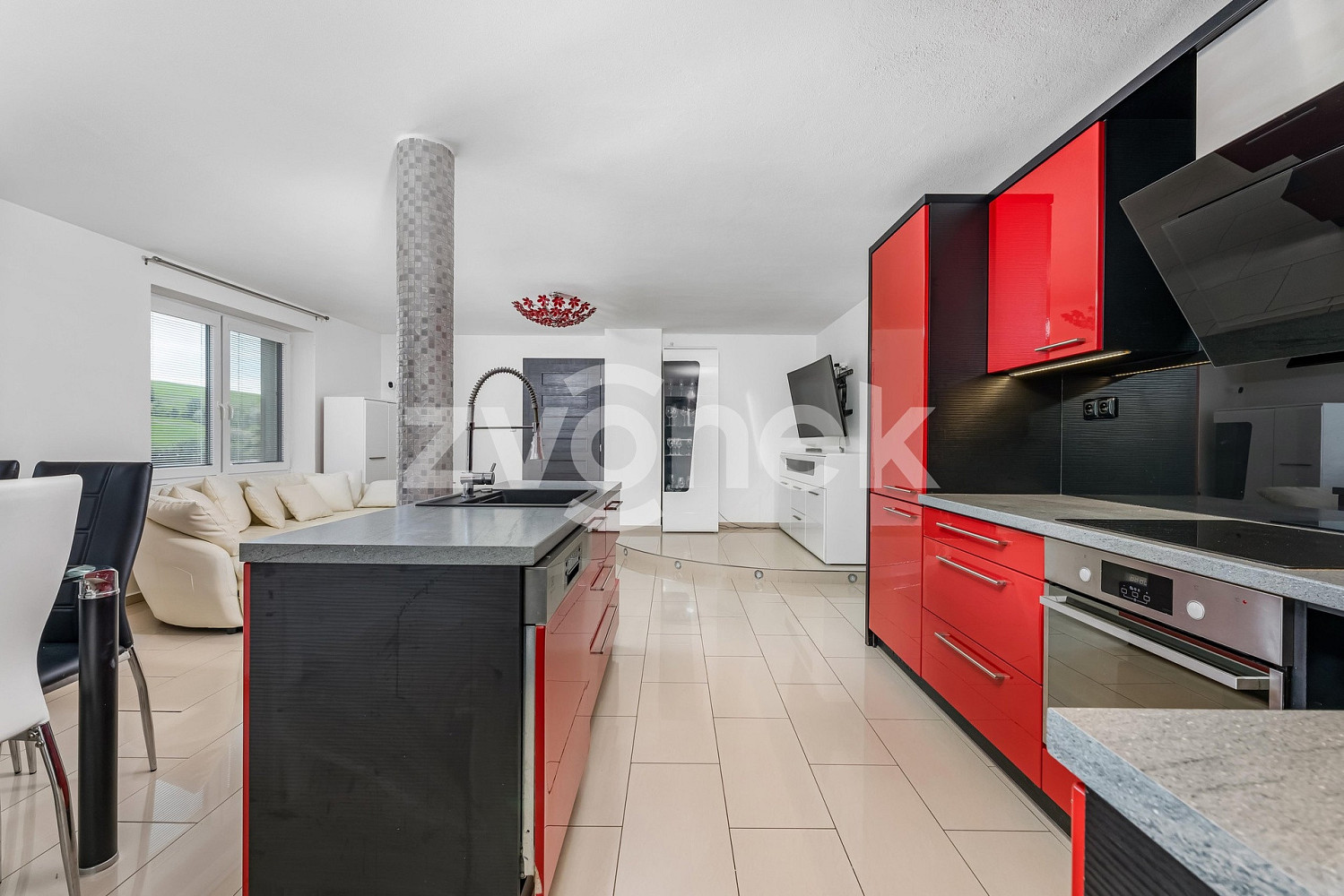 Prodej domu 258 m² s pozemkem 1 107 m² – fotografie 2