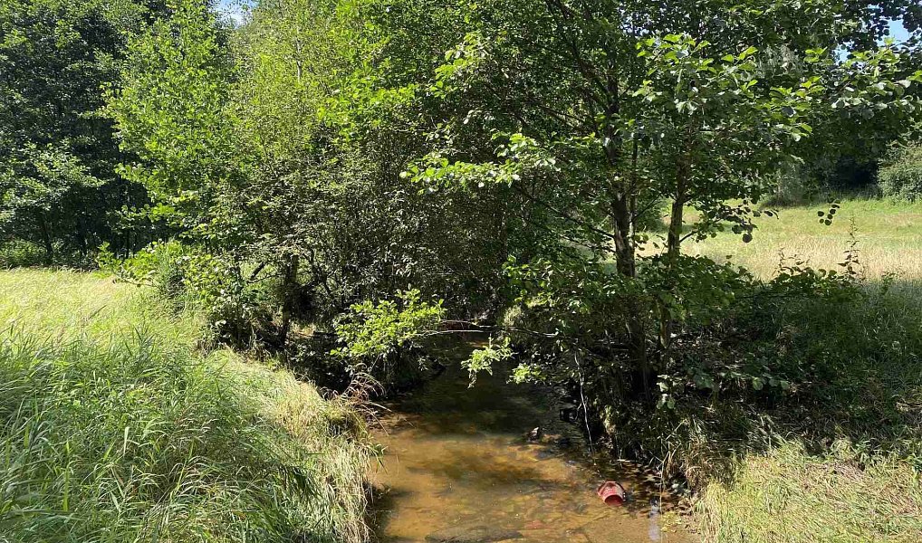 Prodej pole 55 481 m², Lhenice – náhled fotky 28
