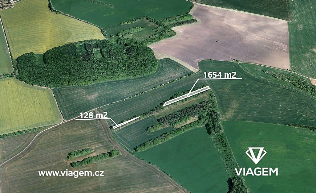 Prodej lesa 1 782 m² – fotografie 2