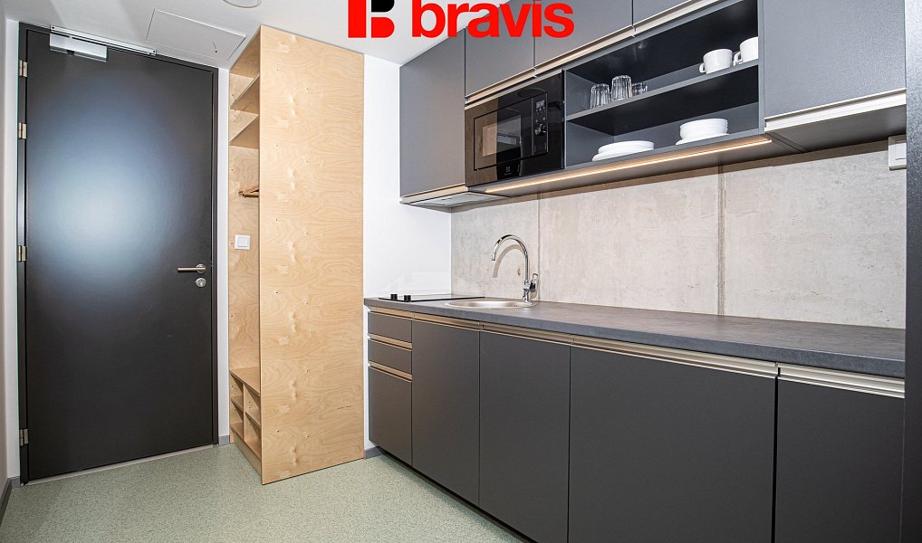 Pronájem bytu 1+kk 24 m², Brno – náhled fotky 3