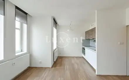 Pronájem bytu 1+kk 30 m², Lucemburská, Praha 3 - Vinohrady