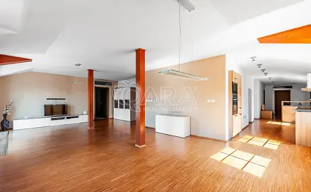 Pronájem bytu 4+kk 230 m²