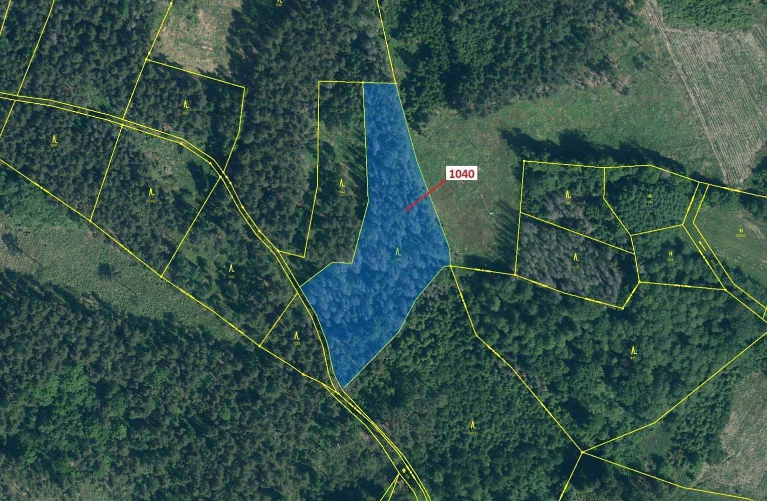 Dražba lesa 6 519 m² — photo 2
