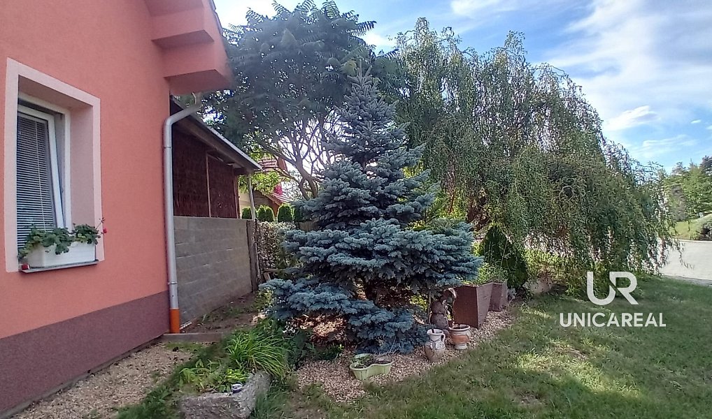 Prodej domu 233 m² s pozemkem 651 m², Božice – náhled fotky 24