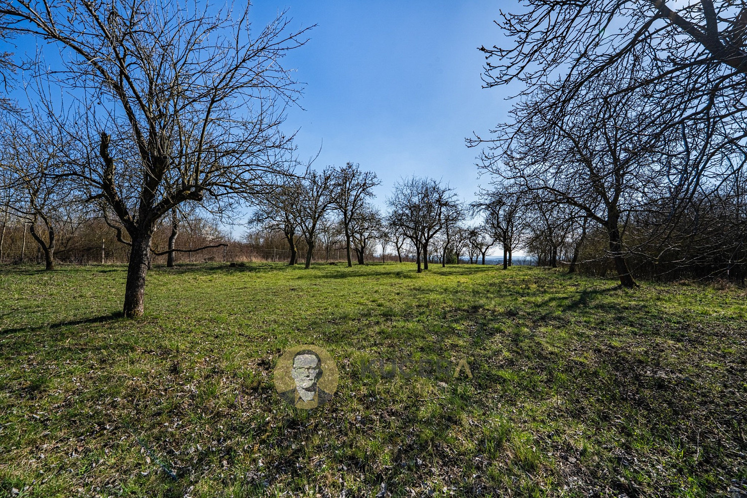 Prodej domu 100 m² s pozemkem 3 158 m² — photo 5