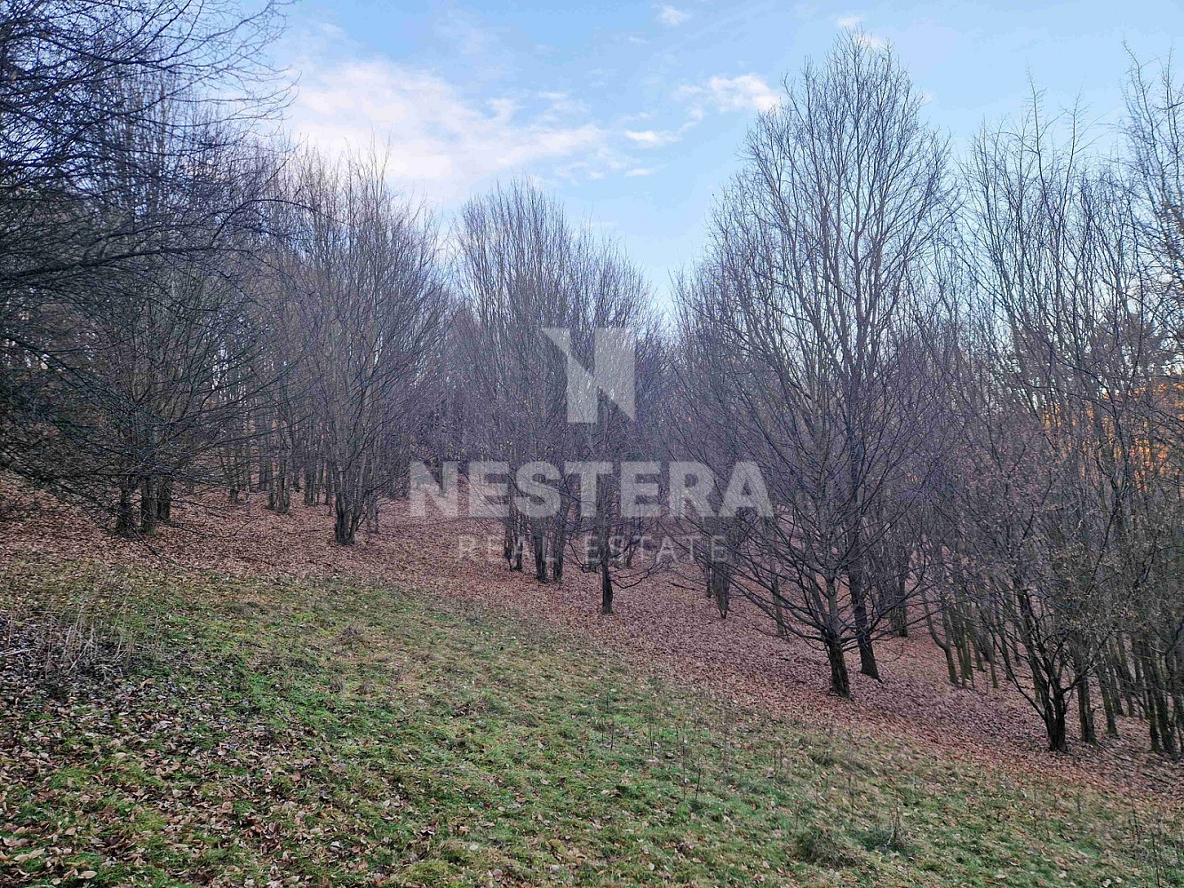 Prodej louky 10 301 m² – fotografie 3