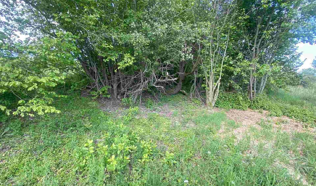 Prodej pozemku 7 130 m², Břidličná – náhled fotky 5