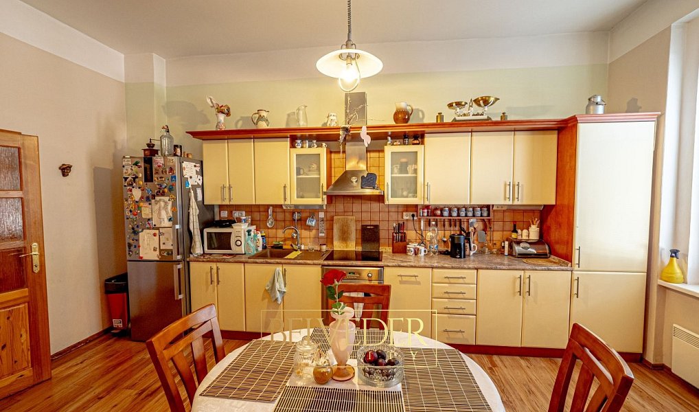 Prodej domu 430 m² s pozemkem 285 m², Teplice – náhled fotky 10