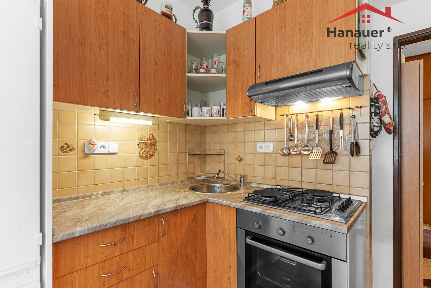 Prodej domu 320 m² s pozemkem 3 345 m² – pohled 4