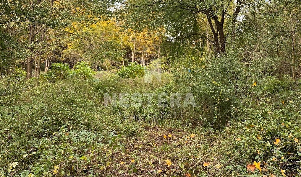 Prodej stavebního pozemku 5 321 m², Úholičky – náhled fotky 7