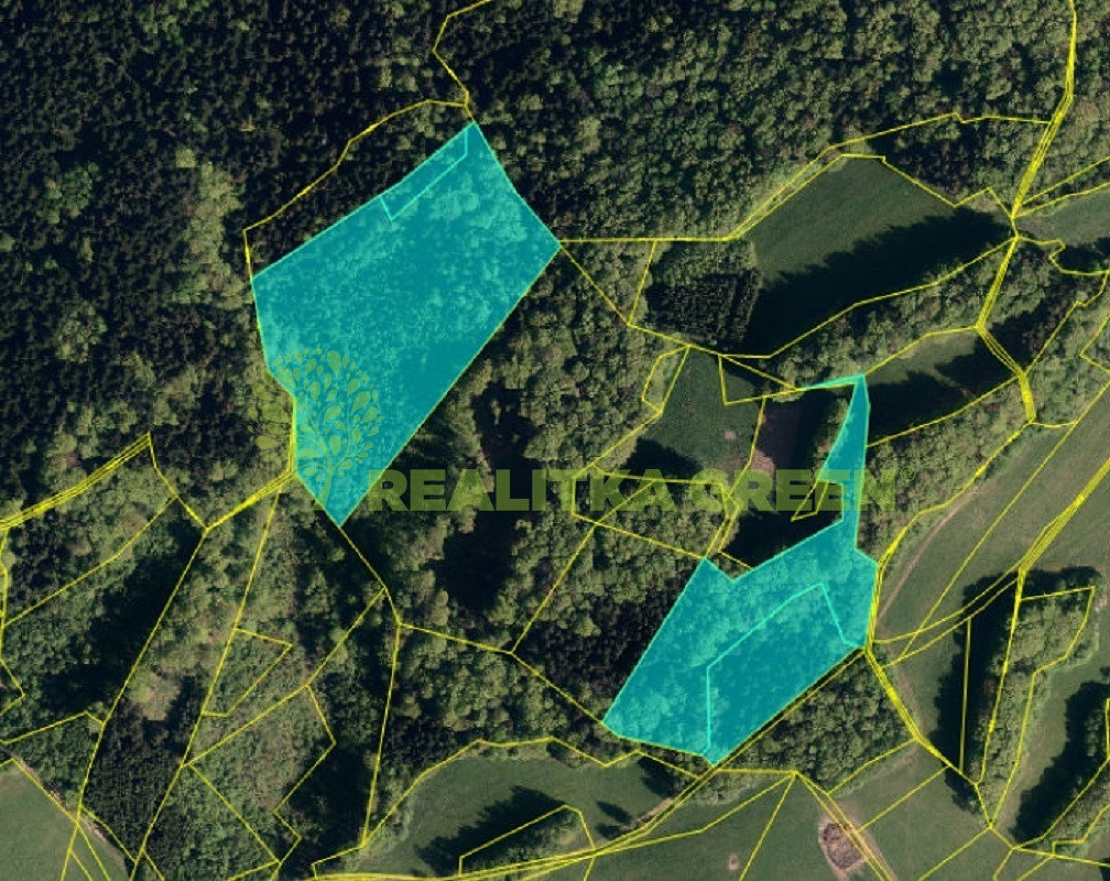 Prodej lesa 36 934 m²