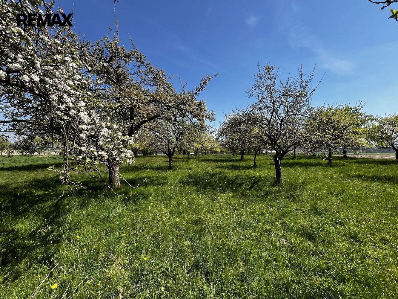 Prodej pozemku 7 559 m²
