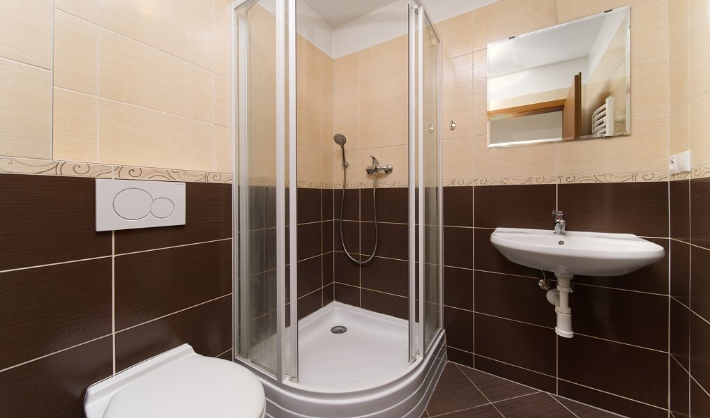 Pronájem bytu 1+kk 30 m², Plzeň – náhled fotky 7
