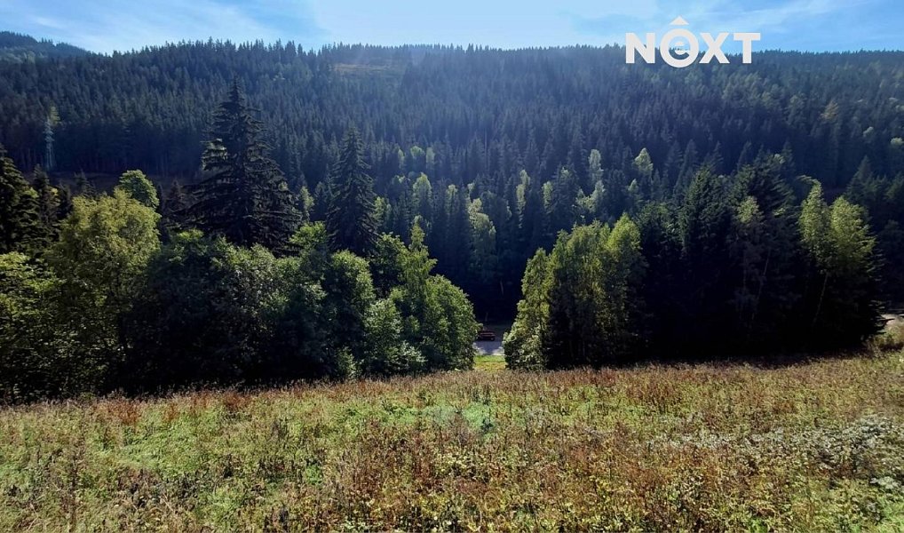 Prodej stavebního pozemku 4 273 m², Pec pod Sněžkou – náhled fotky 7