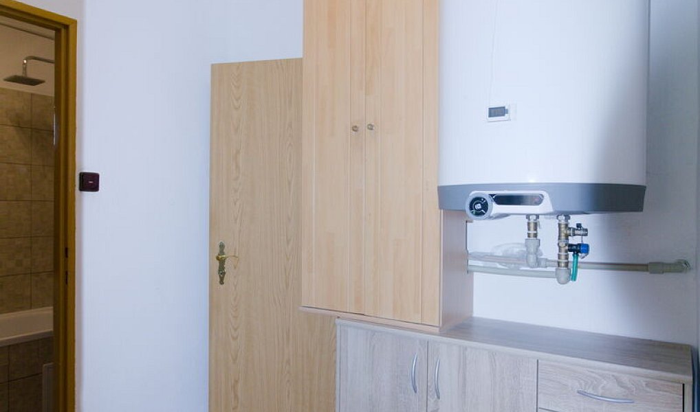 Prodej domu 168 m² s pozemkem 899 m², Vrbno pod Pradědem – náhled fotky 33